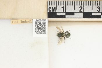 Media type: image;   Entomology 790562 Aspect: Labels